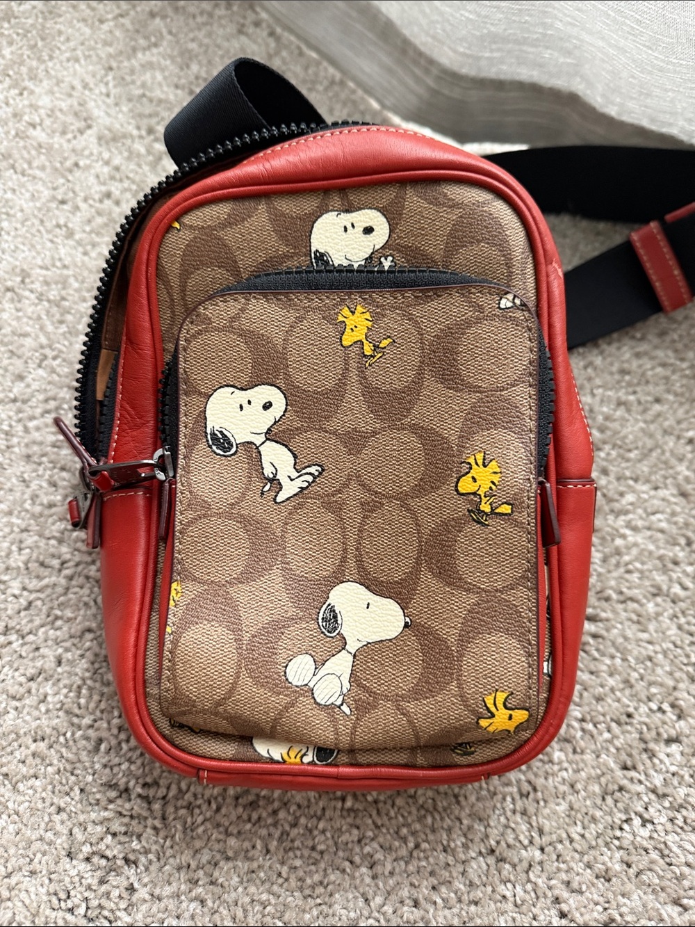 Coach Snoopy & Woodstock Mini Crossbody - Brown & Red